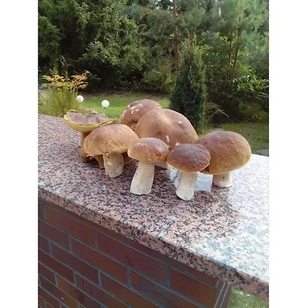 Apartment In Markische Heide Ot Alt Schadow